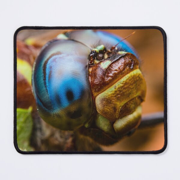 Item preview, Dragonfly - Odonata Anisoptera designed and sold by AronsTinySafari.