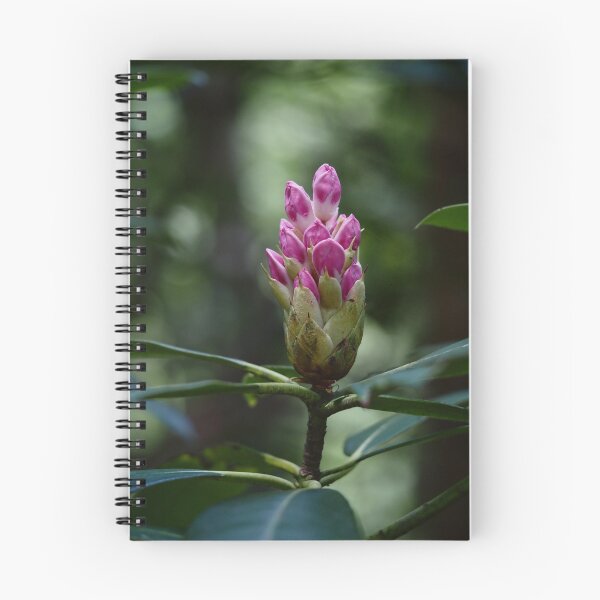 Item preview, Rhododendron Buds designed and sold by litwphoto.