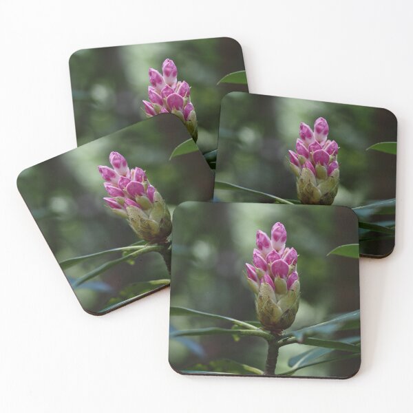 Item preview, Rhododendron Buds designed and sold by litwphoto.