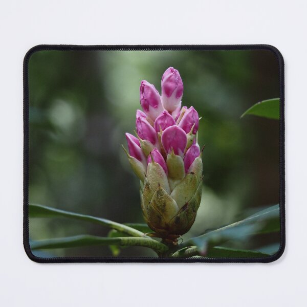 Item preview, Rhododendron Buds designed and sold by litwphoto.