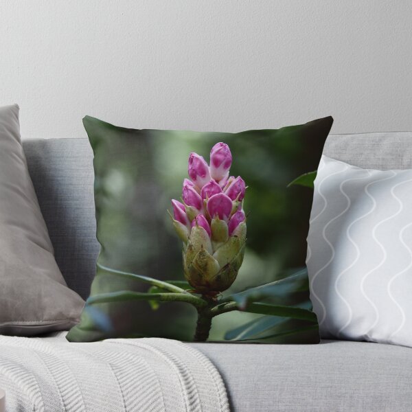 Item preview, Rhododendron Buds designed and sold by litwphoto.