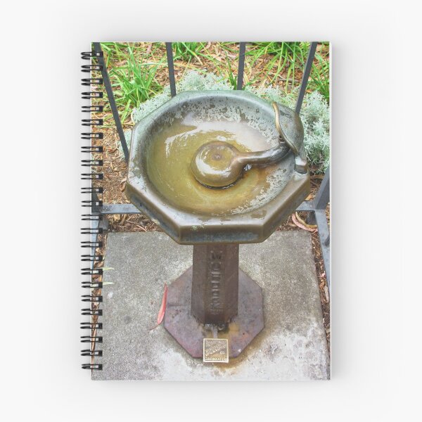 Item preview, A Public Drinking Fountain  designed and sold by Ethna Gillespie.