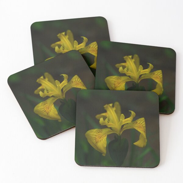 Item preview, Yellow Flag Iris 1 designed and sold by litwphoto.