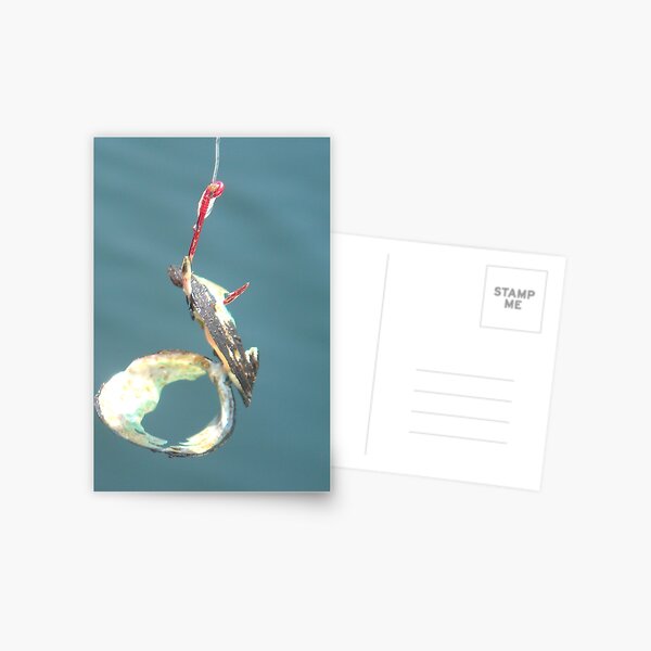 SHELL SHANKED REDEMPTION Postcard