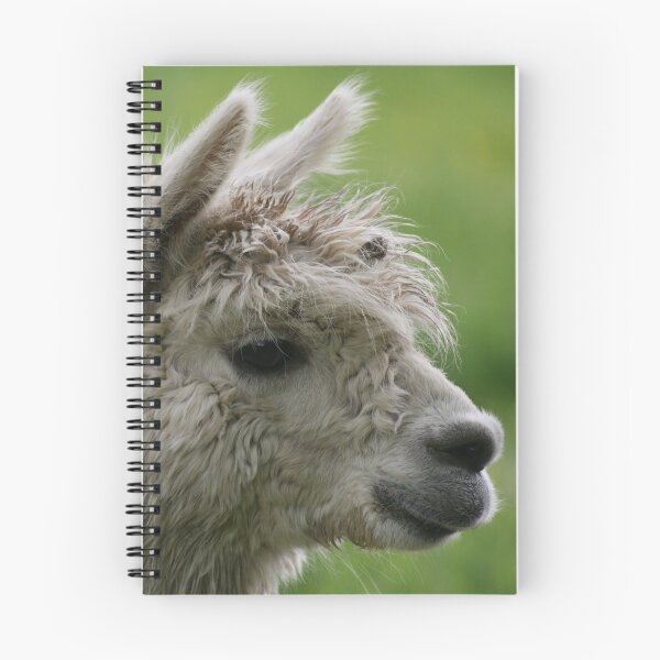 Item preview, Alpacabagthen designed and sold by RedHillDigital.