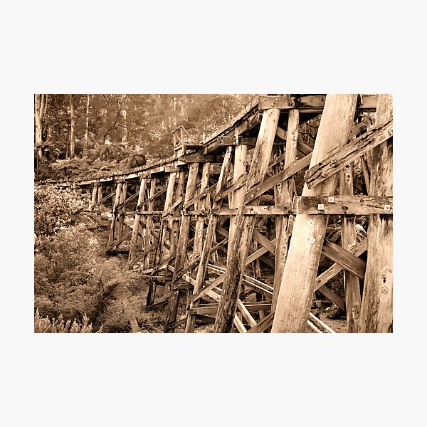 Item preview, Sepia Trestle designed and sold by daverach1.