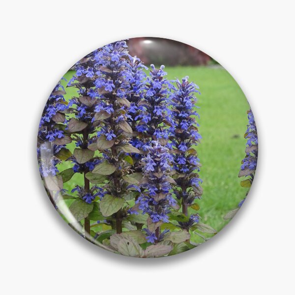 Item preview, Bugleweed designed and sold by Barrie Woodward.
