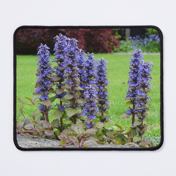 Item preview, Bugleweed designed and sold by Barrie Woodward.