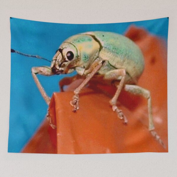 Item preview, Bug on bag designed and sold by B. Randi Bailey.