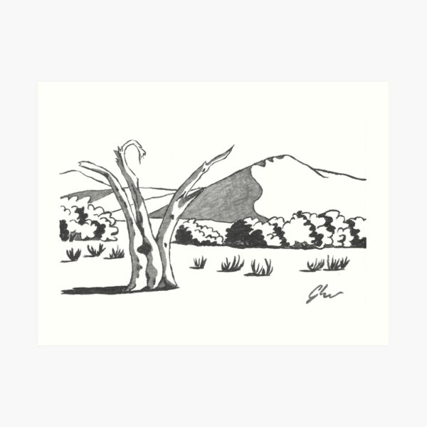 Dunes & Dead Tree - Namibia Art Print
