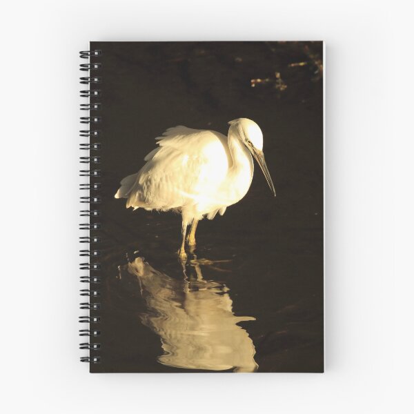 Item preview, Little egret designed and sold by Jon Lees.