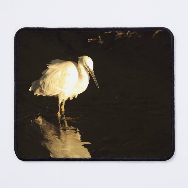 Item preview, Little egret designed and sold by Jon Lees.