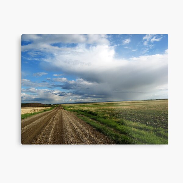 Country Road Metal Print