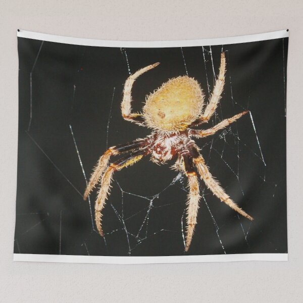 Item preview, Seven-legged spider designed and sold by B. Randi Bailey.