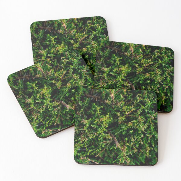 Item preview, Coniferous designed and sold by Arc1.