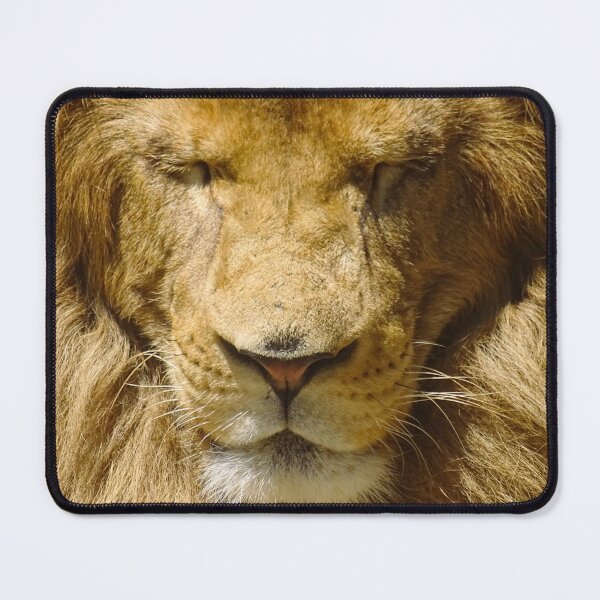 Item preview, sleeping lion designed and sold by enrikepaz.