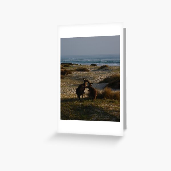 Item preview, Wallabies on beach designed and sold by Of Land and Ocean - Samantha Goode.