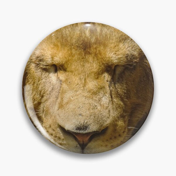 Item preview, sleeping lion designed and sold by enrikepaz.