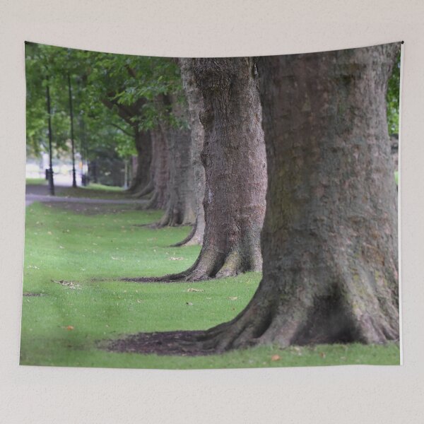 Item preview, Cambridge tree 1 designed and sold by CasparTheRiddle.