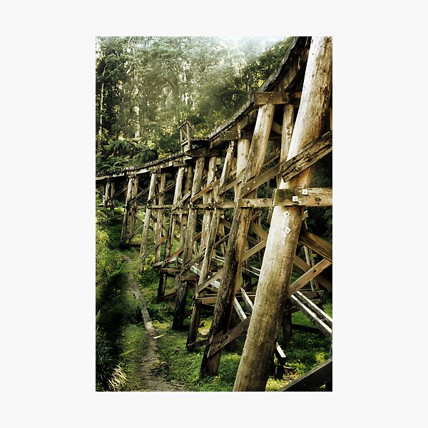 Item preview, Trestle Bridge designed and sold by Samantha Cole-Surjan.