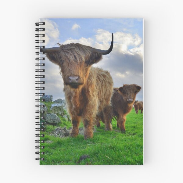 Item preview, Cornwall: Heiland Coo's on the Cornish Coast designed and sold by Rob Parsons (Just a Walker with a Camera).