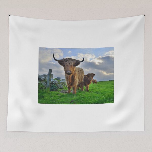 Item preview, Cornwall: Heiland Coo's on the Cornish Coast designed and sold by Rob Parsons (Just a Walker with a Camera).