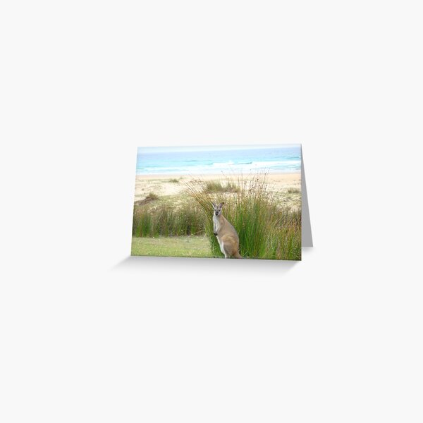 Item preview, Wallaby designed and sold by Of Land and Ocean - Samantha Goode.