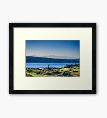 Chambers Bay Tree Framed Print