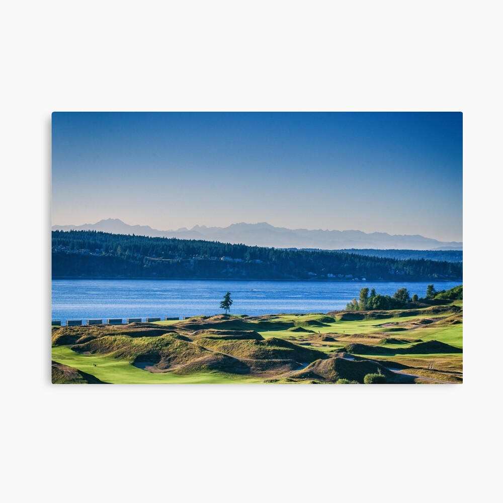 Chambers Bay Tree Canvas Print