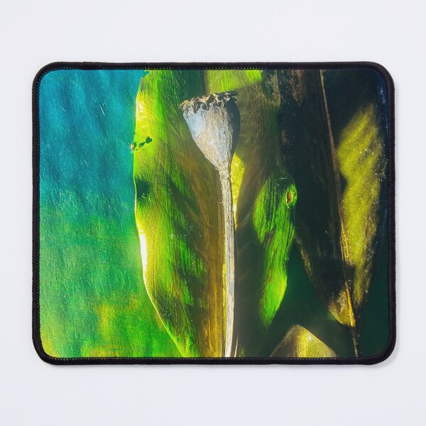 Item preview, Enchanted Botanicals Moody Poppy with Yellow designed and sold by Wolfcreek1.
