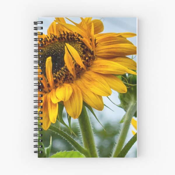 Item preview, Lofty Sunflower designed and sold by Rebecca Bryson.