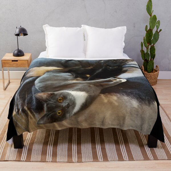 Item preview, Cuddle Cats designed and sold by Rebecca Jane.