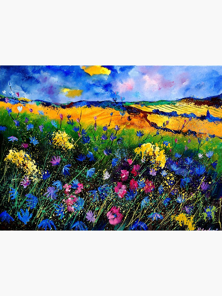 cornflowers 680808 by calimero