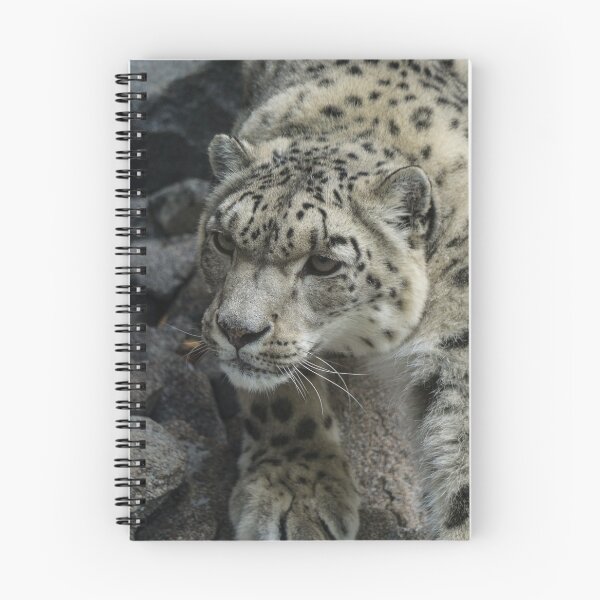 Item preview, Snow Leopard - Panthera uncia designed and sold by Dagostino.