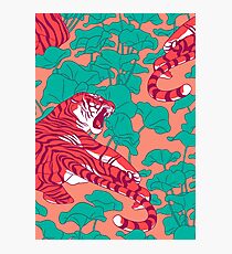 Scarlet tigers on lotus field. Photographic Print