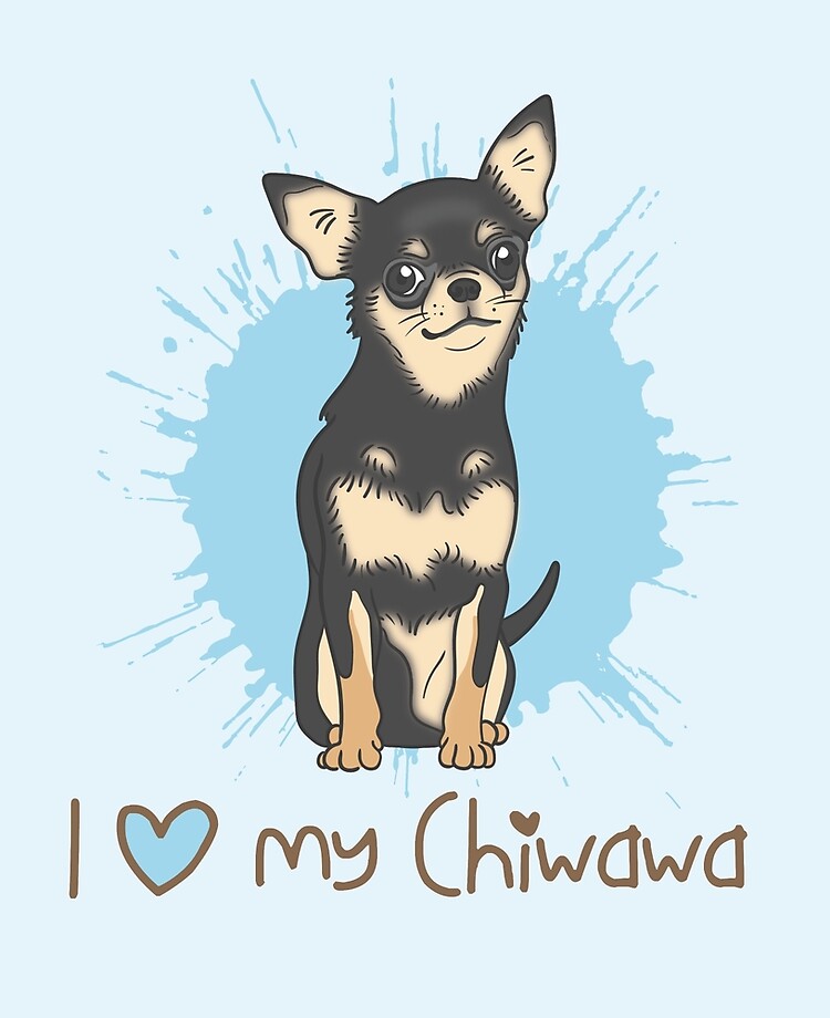 foto chiwawa