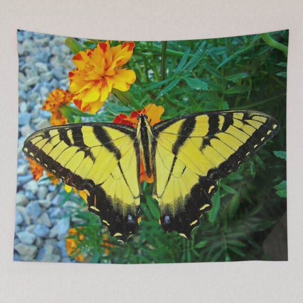 Item preview, Yellow male Eastern Tiger Swallowtail designed and sold by Frankie Cat Photography.
