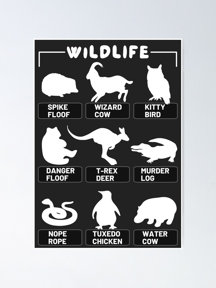 Alternate Animal Names Photo Identification Funny Labels