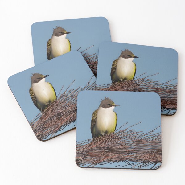 Item preview, The Kingbird of the County designed and sold by sapsucker23.