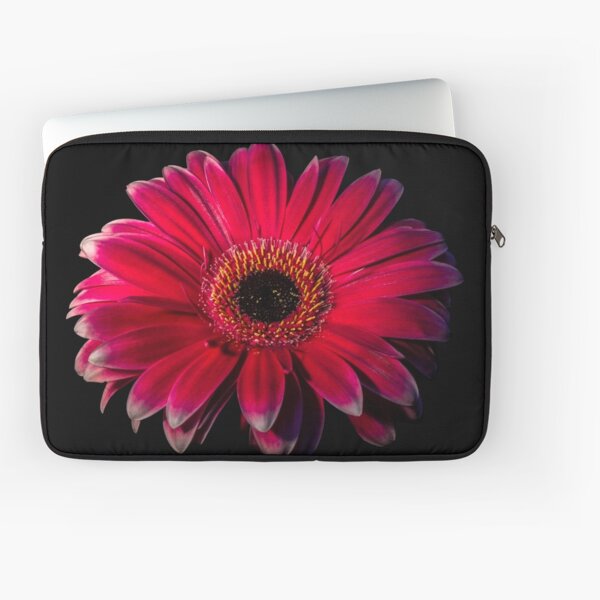 Close up of a red Gerbera Flower Laptop Sleeve