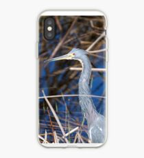 Great Blue Heron iPhone Case