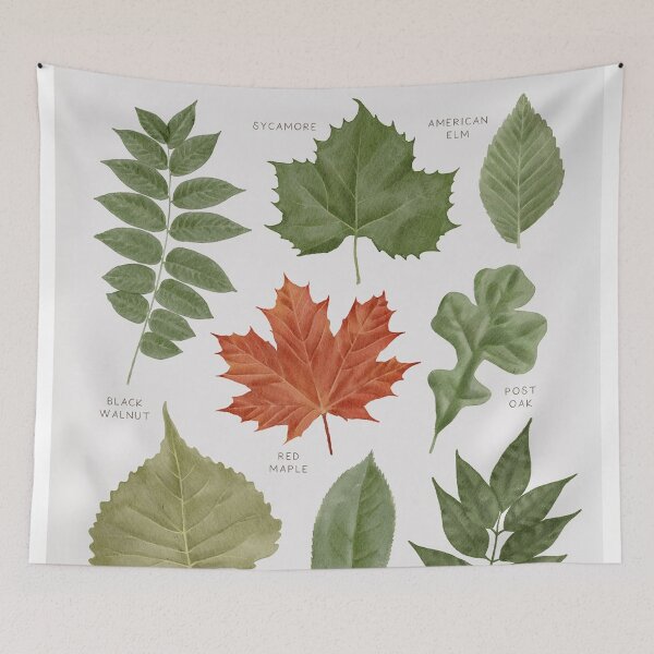 Item preview, Educational Leaves designed and sold by walkerissac.