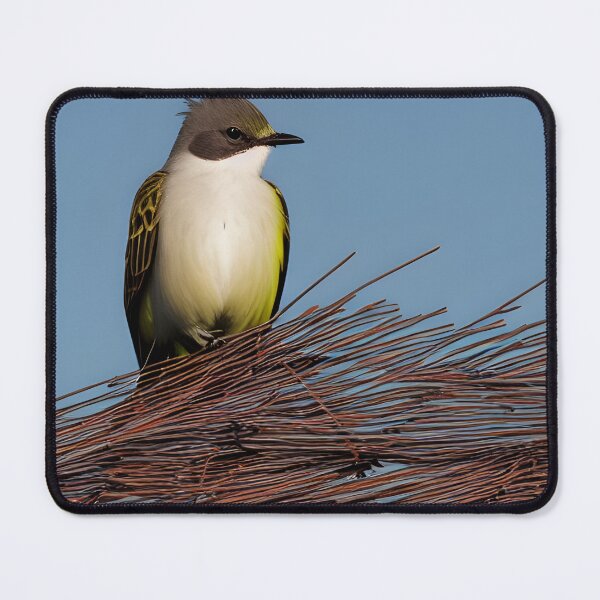 Item preview, The Kingbird of the County designed and sold by sapsucker23.