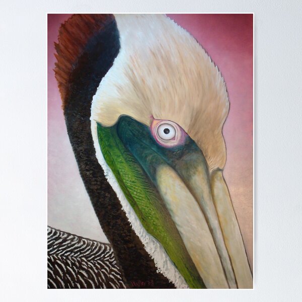 Pelican Peeking Poster