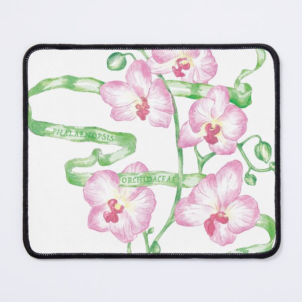 Item preview, Moth Orchid designed and sold by letsgow8th.