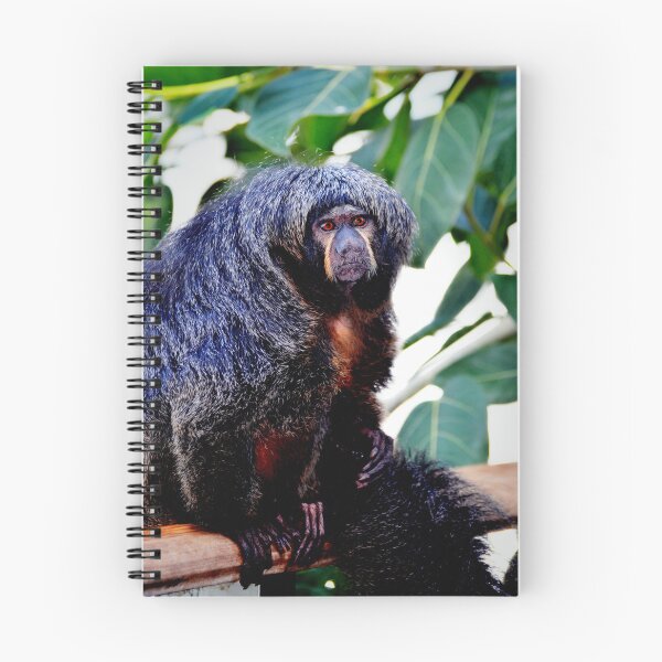 Item preview, Female Saki Monkey  designed and sold by Savannah Gibbs.