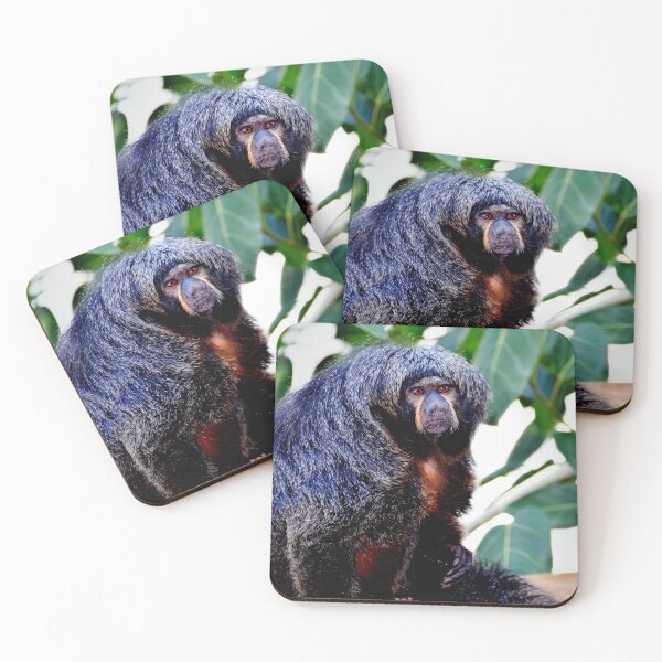 Item preview, Female Saki Monkey  designed and sold by Savannah Gibbs.