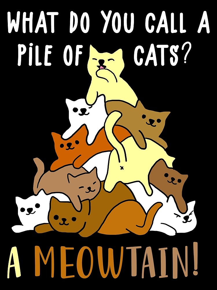 What Do You Call A Pile Of Cats