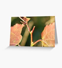 Red Leaves Plant Greeting Card