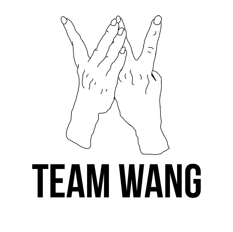 team wang merch amazon